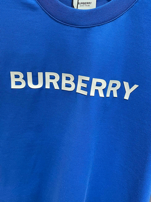 02f79ed76310a4dbad8da7cf030e7a1b_1744901045_4362.jpeg